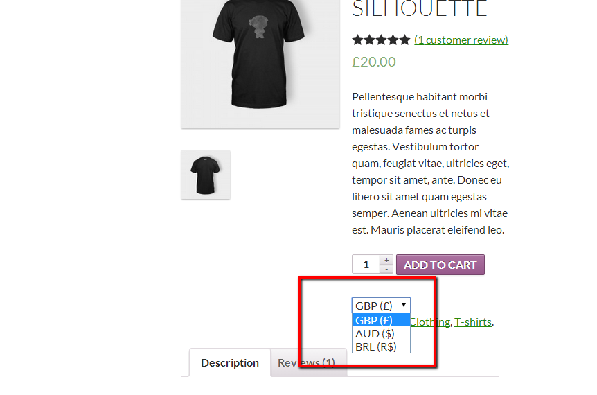 Currency Switcher - front end