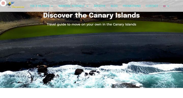 We like Canarias – screenshot del sito web
