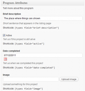 custom-fields-in-editor-page