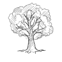 أيقونة شجرة