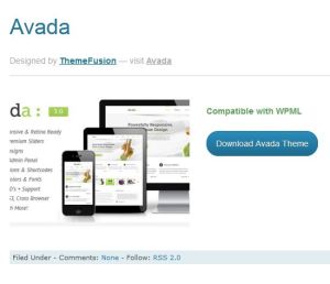 Avada، قالب متوافق مع WPML