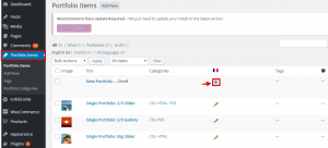 translate portfolio items