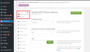 translate theme options