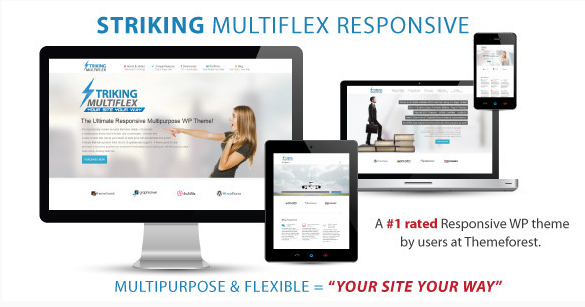 Striking MultiFlex & Ecommerce Responsive WordPress Theme theme screenshot