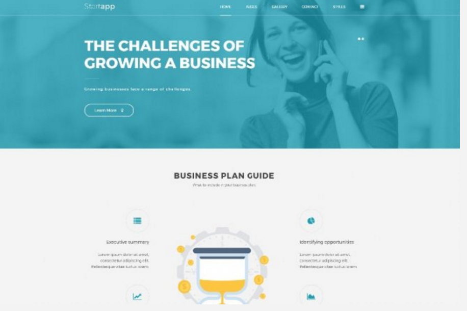 Скриншот темы PE Business