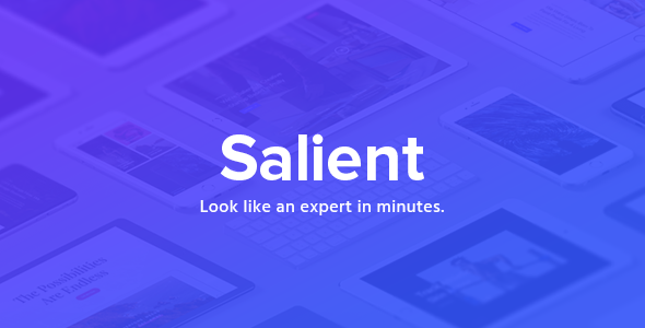 Salient theme screenshot
