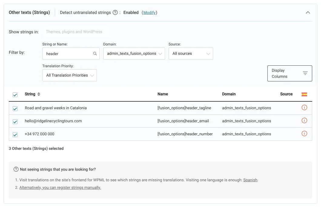 Selecting Avada's theme texts in the Other texts (Strings) section