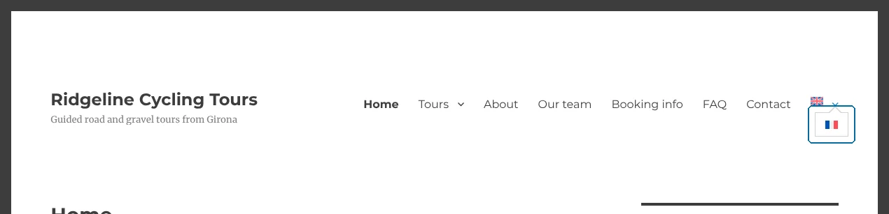 Selector de idiomas del menú tras aplicar el CSS personalizado