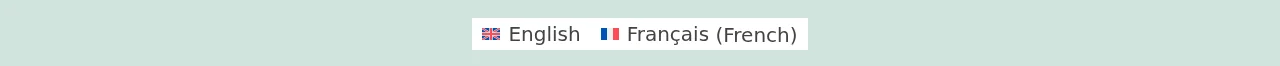 Language switcher in the site footer