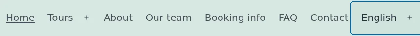 Language switcher in the site header menu