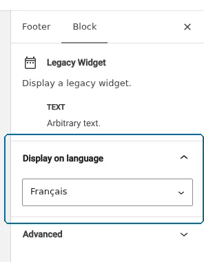 Setting display conditions for block-based widget