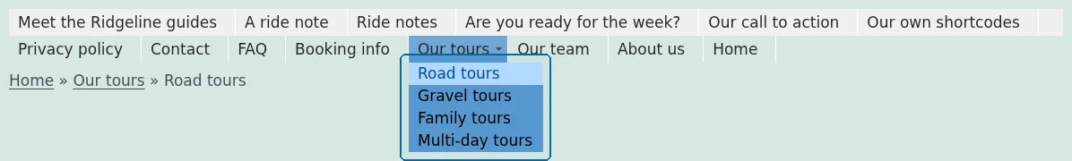 The drop-down menu, with a section open
