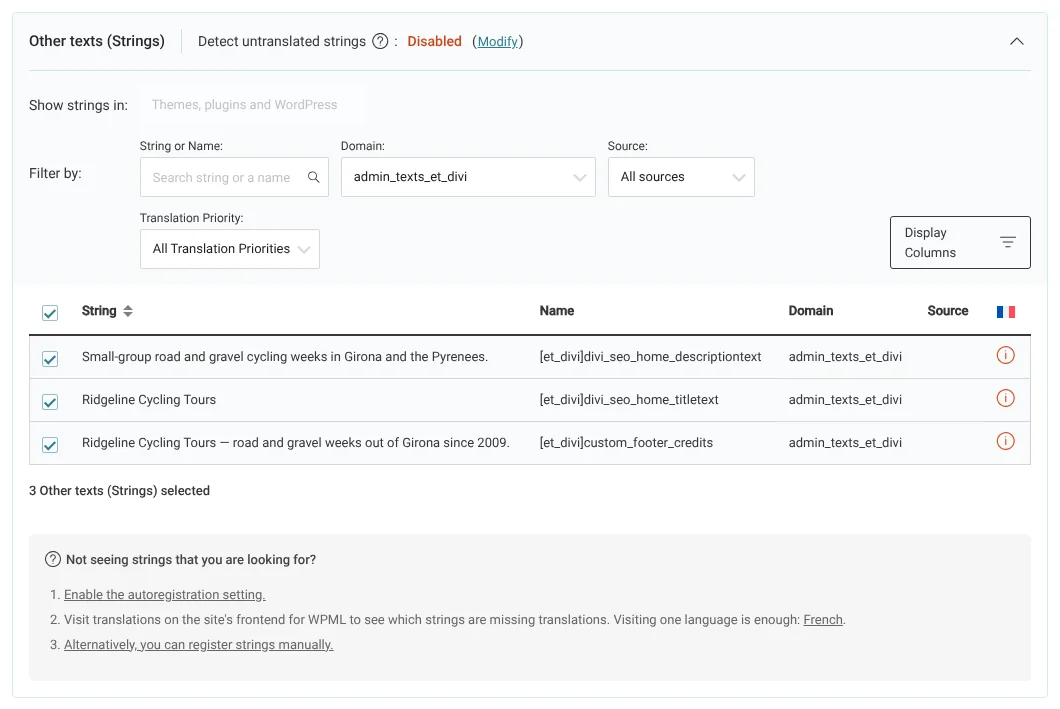 Selecting Divi's theme texts in the Other texts (Strings) section