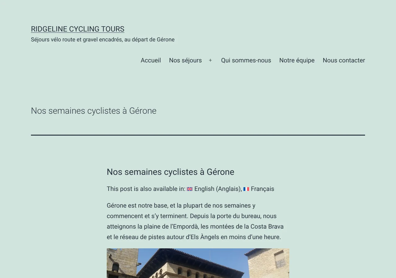 A translated page with the WPML Language Switcher widget