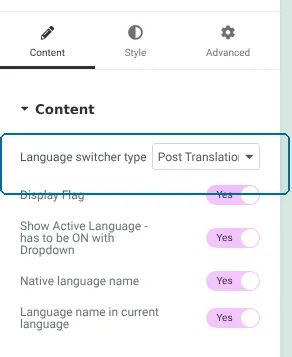 Setting the Language Switcher type to Post Translations
