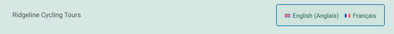 A translated Header template with the WPML Language Switcher widget