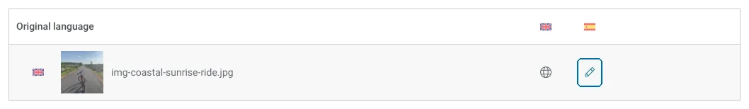 Editing the image’s translation