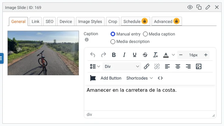 Translating MetaSlider image slides