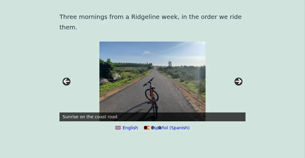 Adding the default language slider to a page