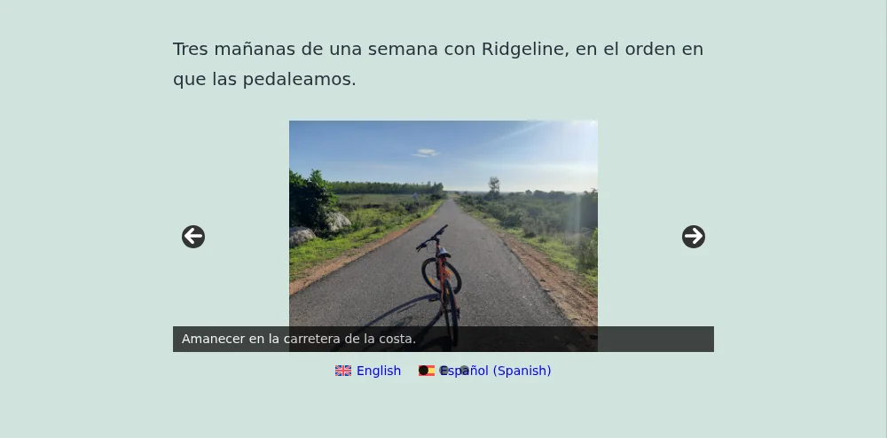 Adding the secondary language slider to a page