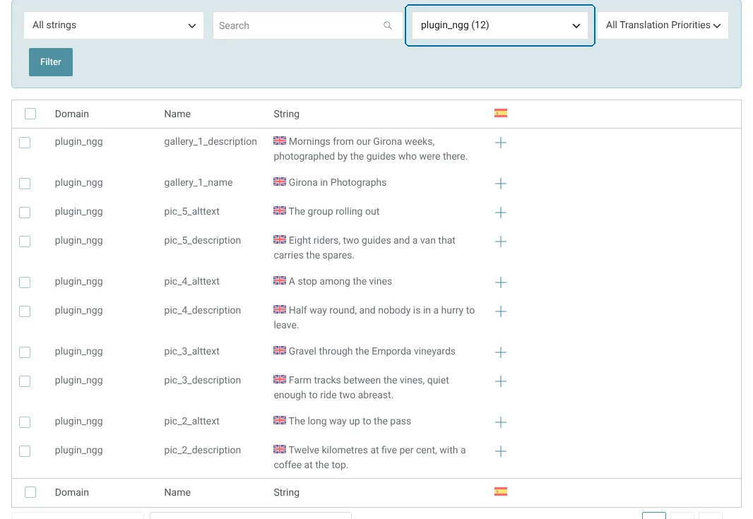 Displaying all strings in the plugin_ngg domain