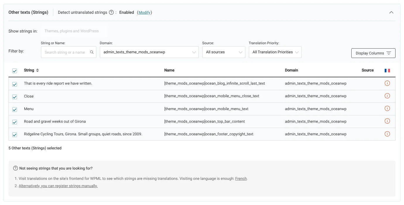 Selecting strings in the Other Texts (Strings) section