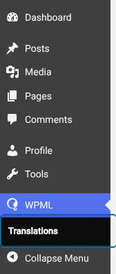 Going to the Translations tab in the website admin dashboard