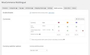 Options for using multiple currencies on the Multi-currency tab