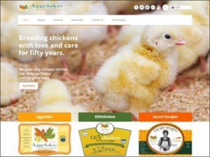 Preview Showcase screenshot