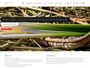 Preview Showcase screenshot