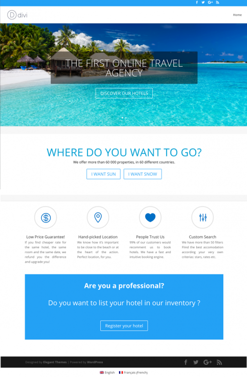 Translate divi with WPML